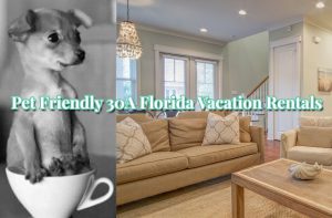 Top 10 Pet Friendly 30A Florida Rentals