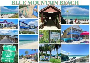 Blue Mountain Beach a South Walton community