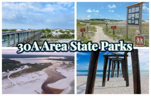 Explore South Walton's State Parks