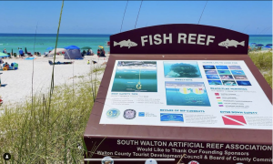 Inlet Beach Reef off of South Orange Street Regional Access